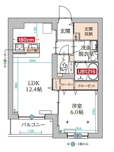 1LDK