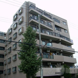 ライオンズマンション府中いちょう通り