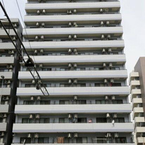 グリフィン横浜