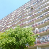 ライオンズマンション調布C棟