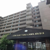 セントレー玉川上水
