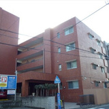 シャンボール白楽