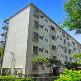 東向地団地5号棟