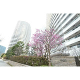 M.M.TOWERS FORESIS R棟