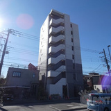 グランデ ピーノ 大師