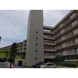宮崎台フェニックス