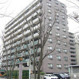 ライオンズマンション横浜星川