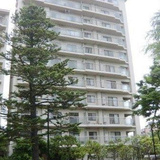 パークシティ新川崎東一番街ジェイ棟(パークシティ新川崎東一番街J棟)
