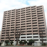 アデニウム新横浜