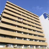 ダイアパレス根岸