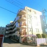 ハイメゾン橋本II