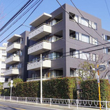 ルピナス山手