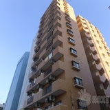 ダイアパレス川崎元木町