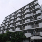 シーガル鶴見
