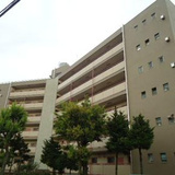 鷺沼スタードエリング